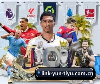 link-yun-tiyu.com.cn APP